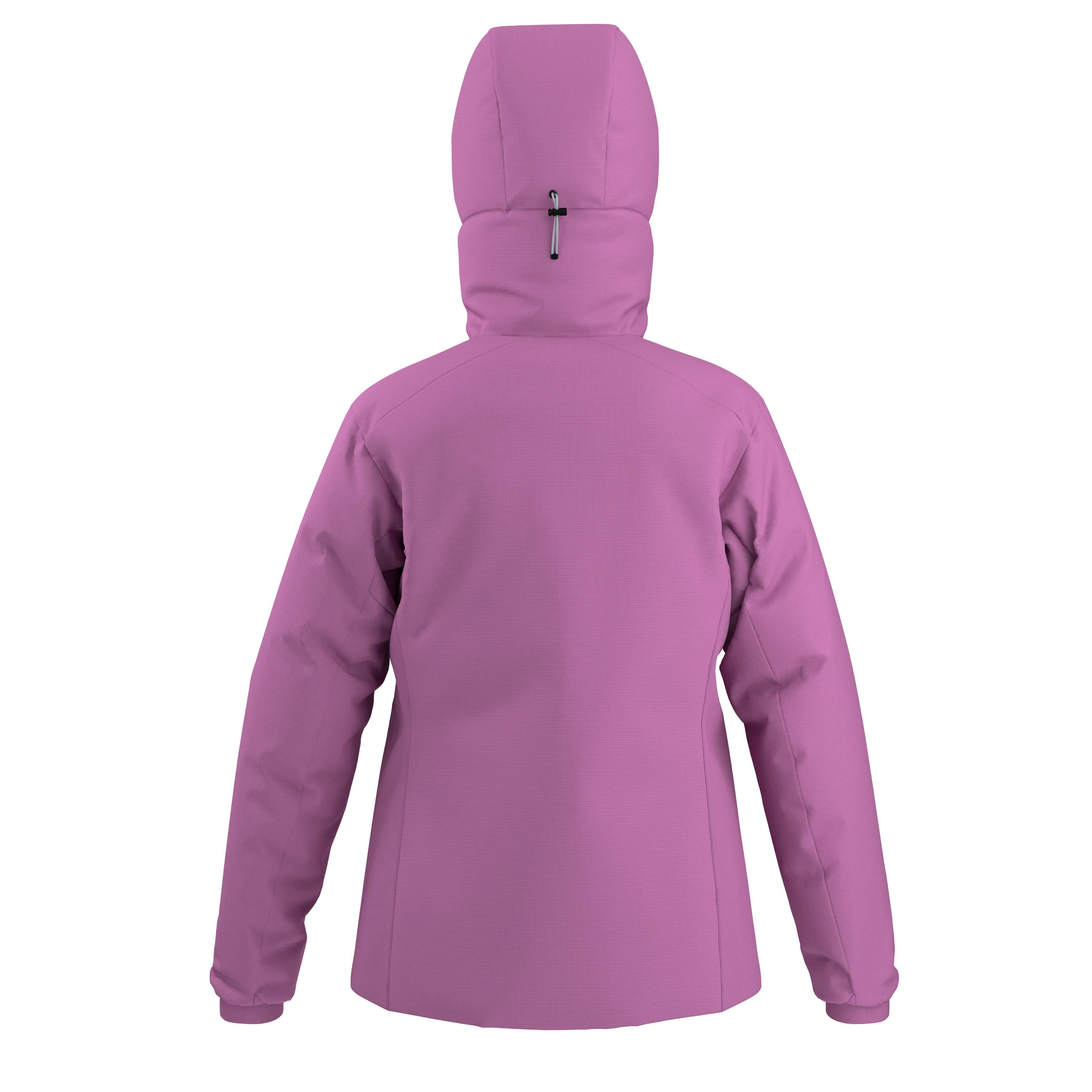 Arc'teryx Atom Hoody W - Image 4
