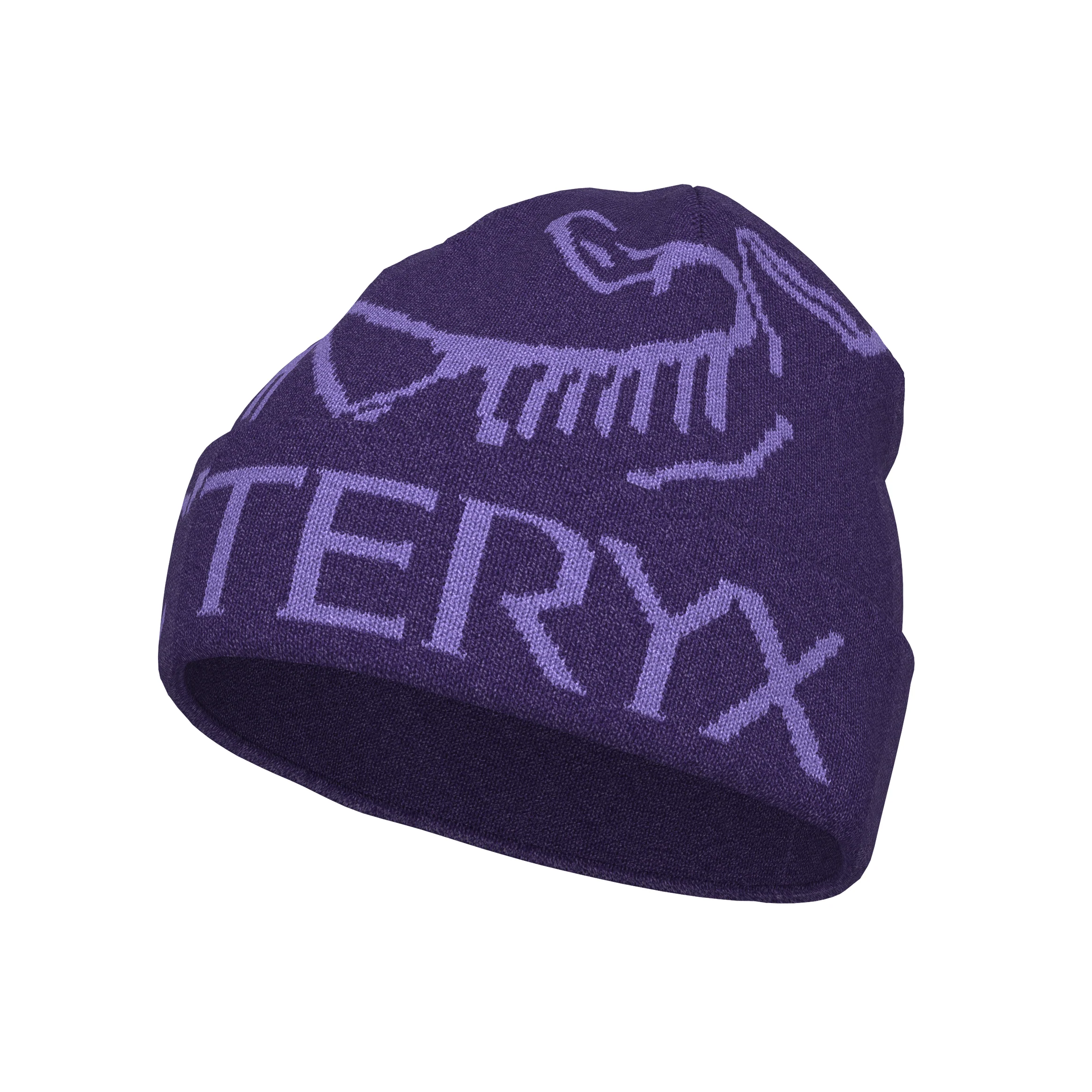 Arc'teryx Bird Word Toque - Image 2