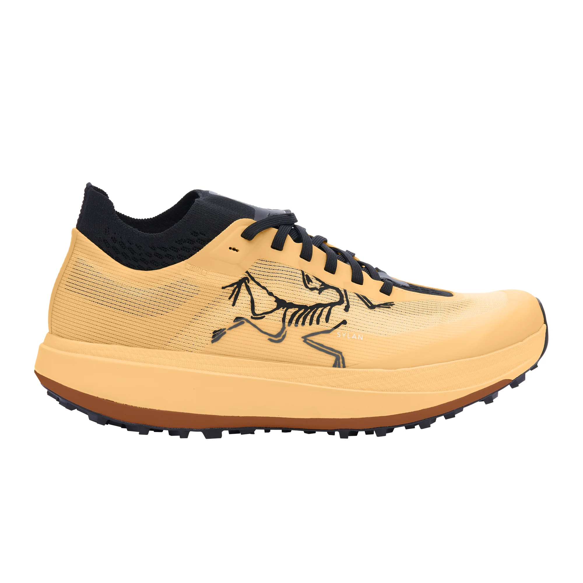 Arc'teryx SYLAN PRO M - Image 2