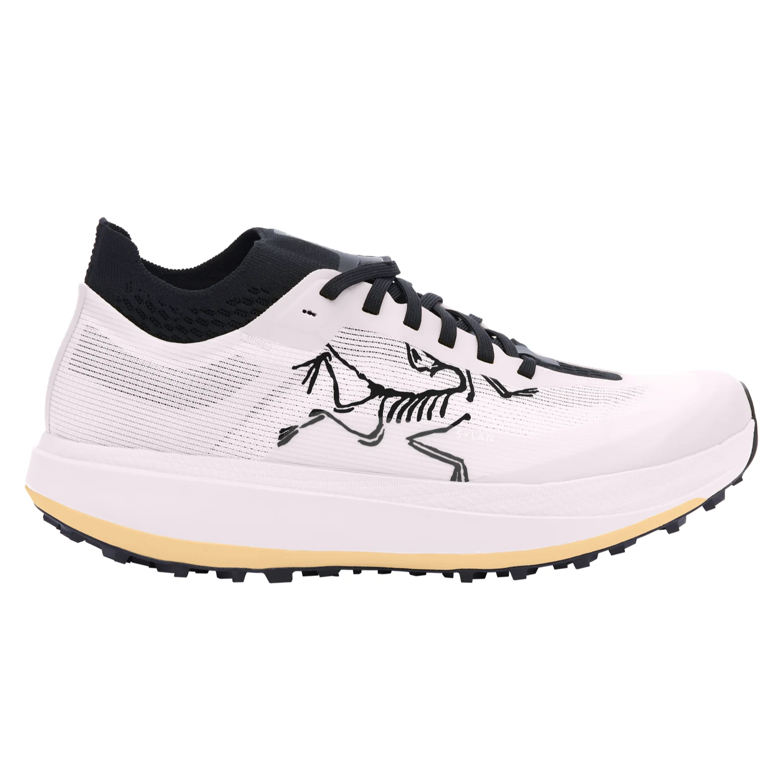 Arc'teryx SYLAN PRO W - Image 2