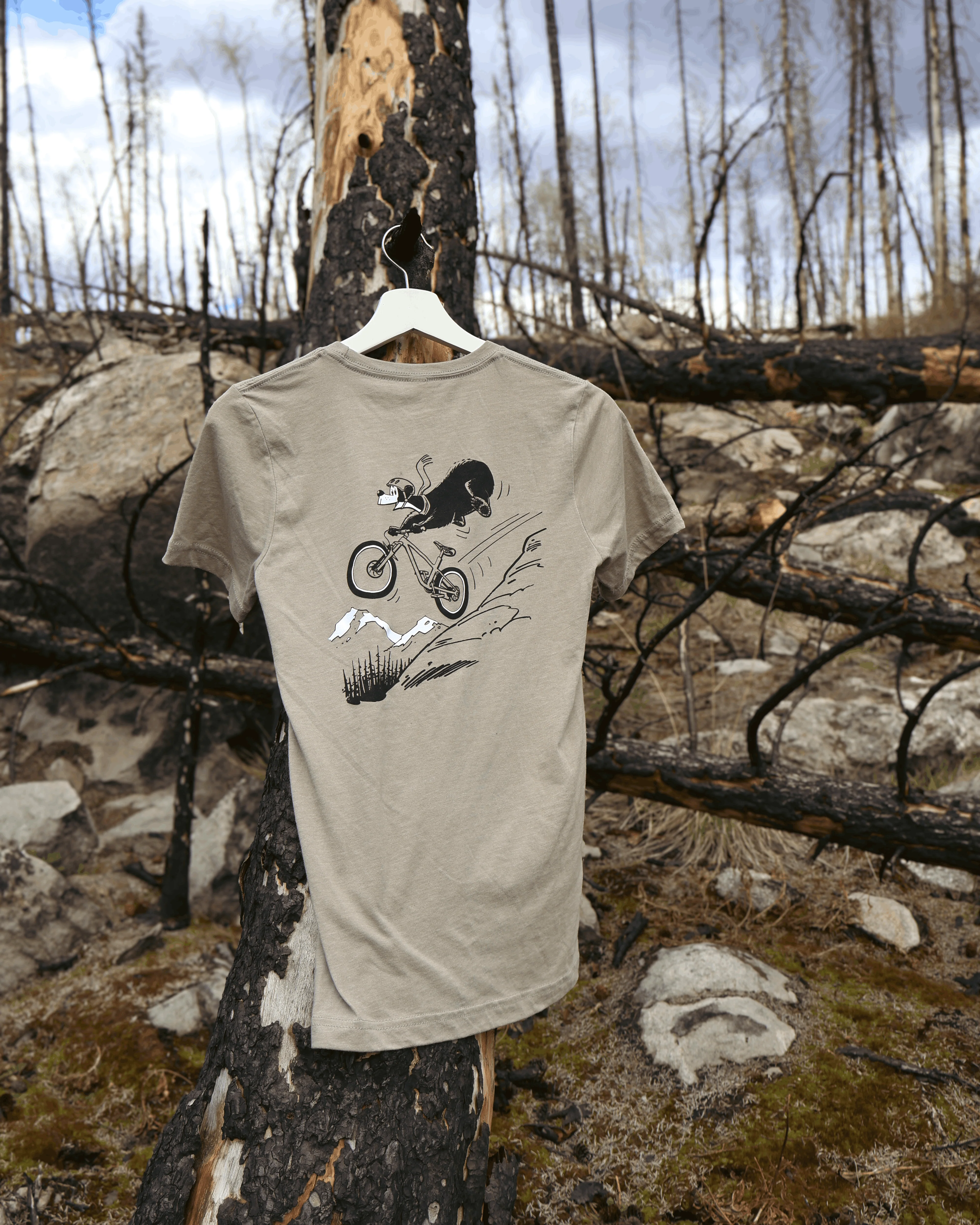 Jasper the Bear T-Shirt - Image 4