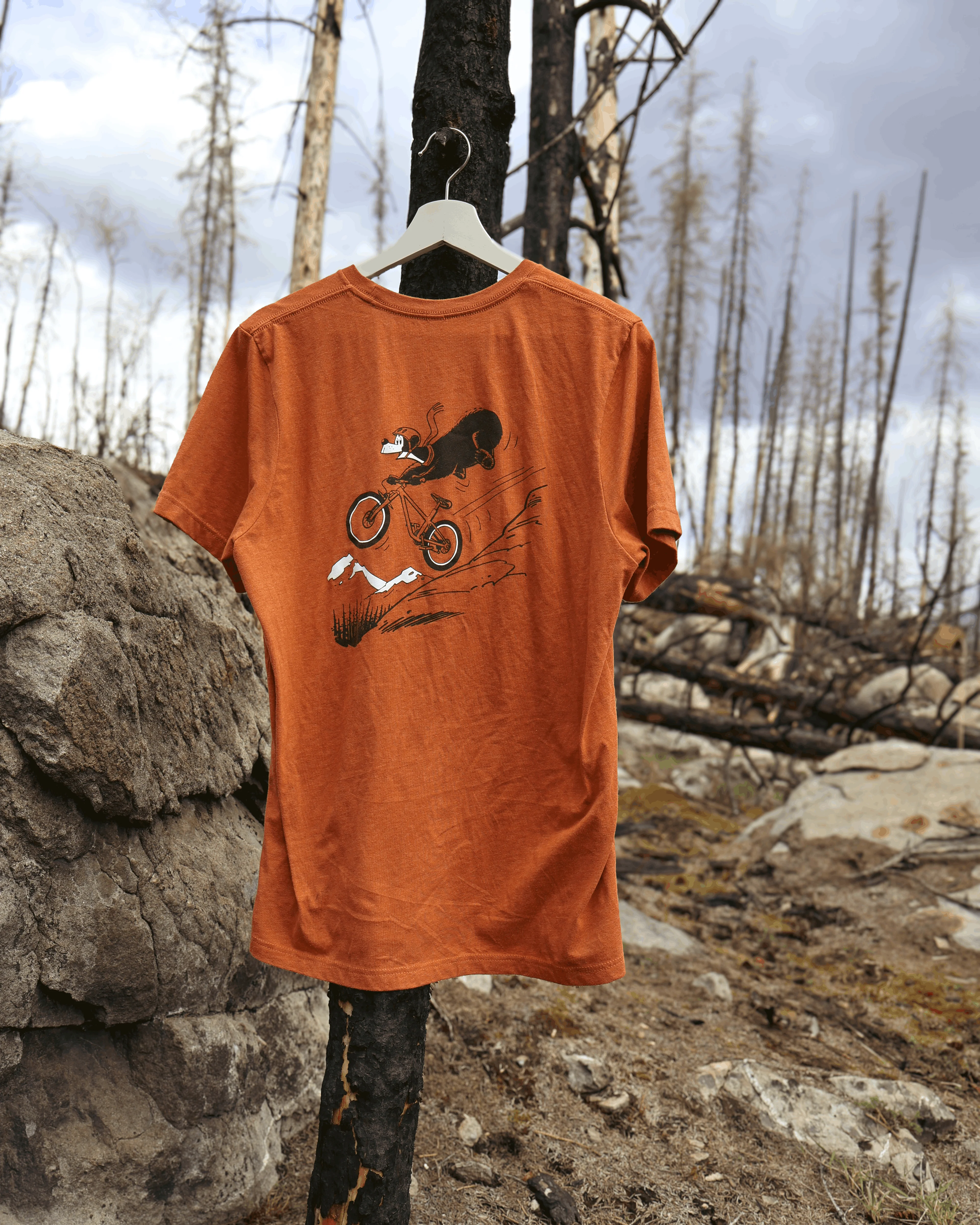 Jasper the Bear T-Shirt - Image 5