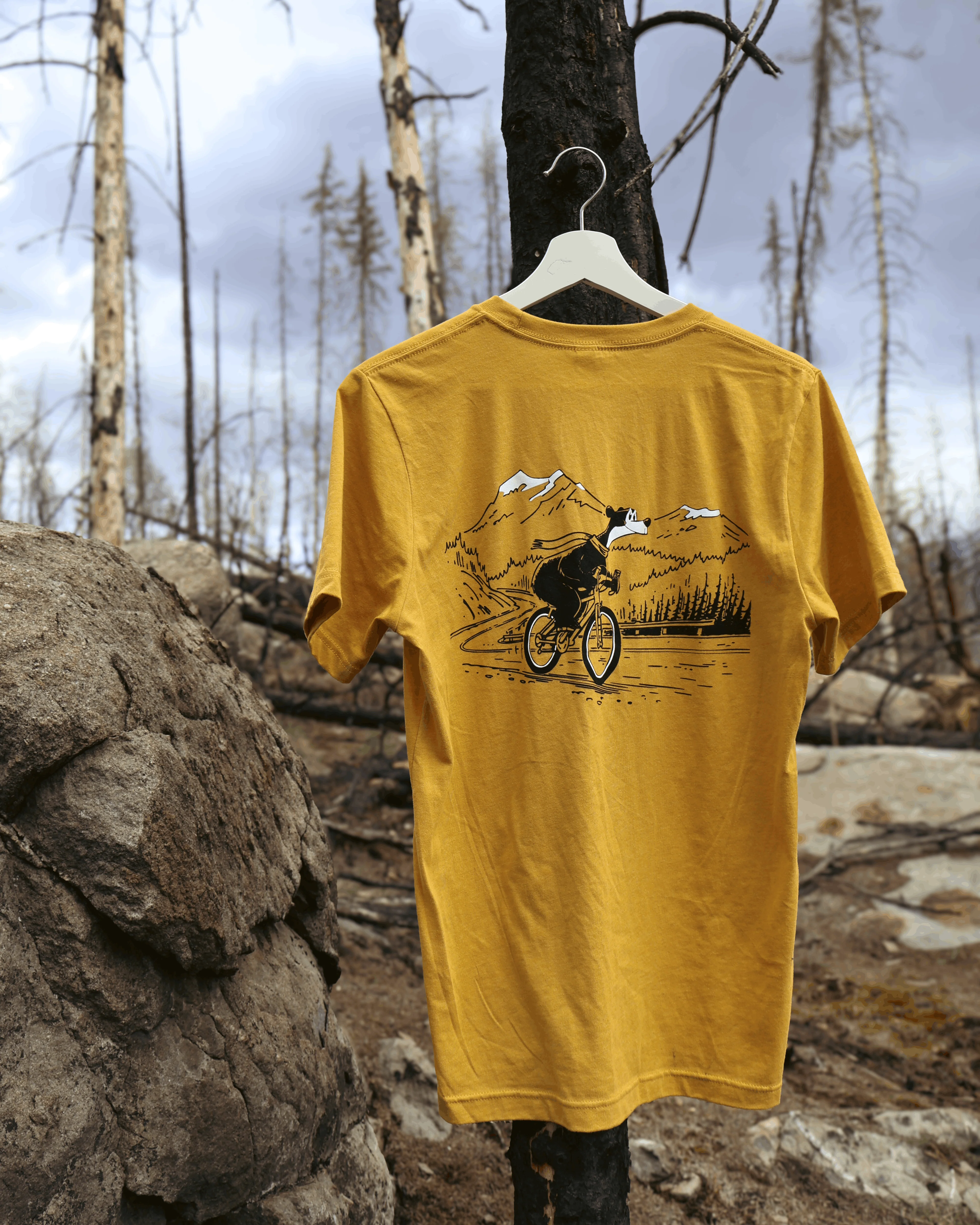 Jasper the Bear T-Shirt - Image 6