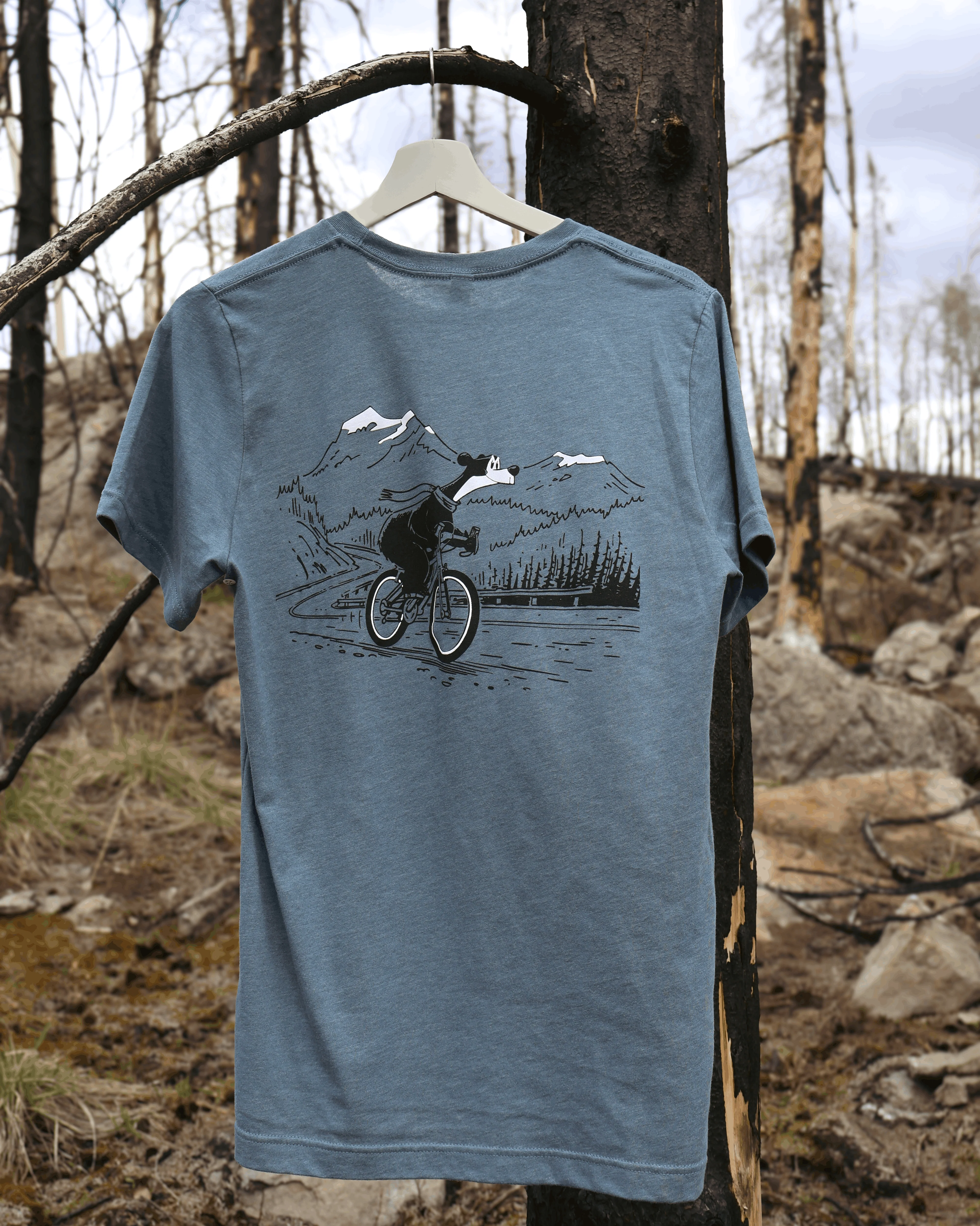 Jasper the Bear T-Shirt - Image 7
