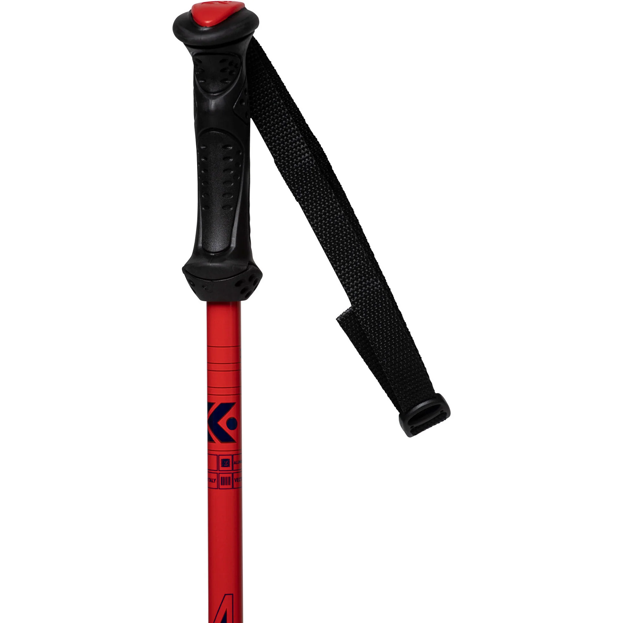 Kerma Vector Team - Image 2