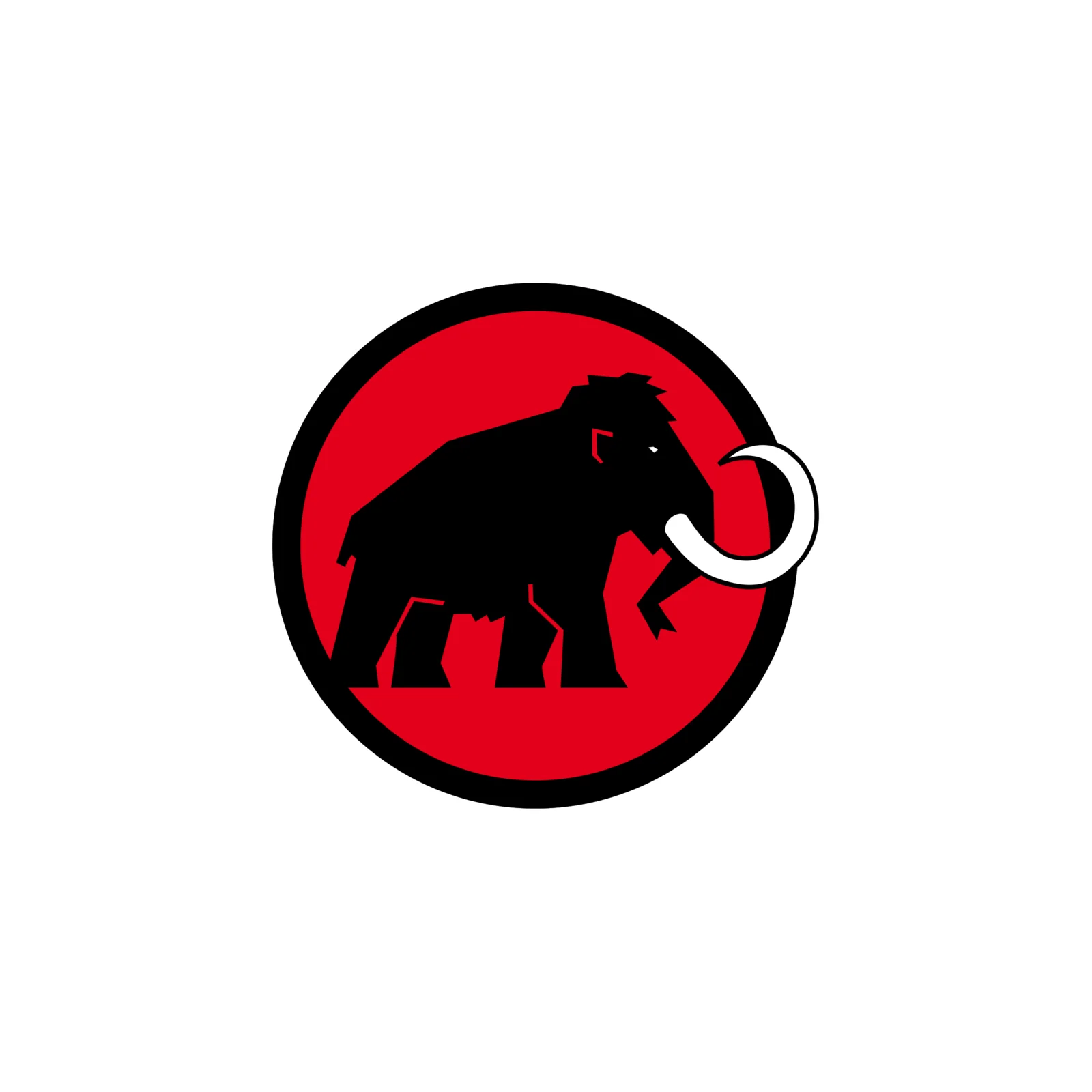 Mammut Pulse Transceiver Update