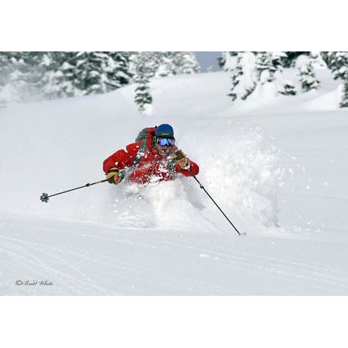 Mustang Powder Cats March 5-8 - Image 3