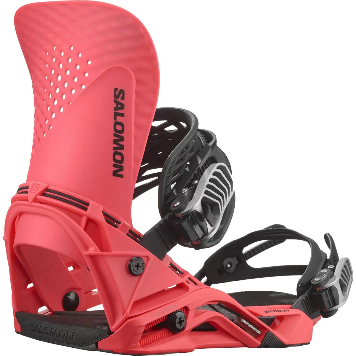 Salomon Hologram - Image 2