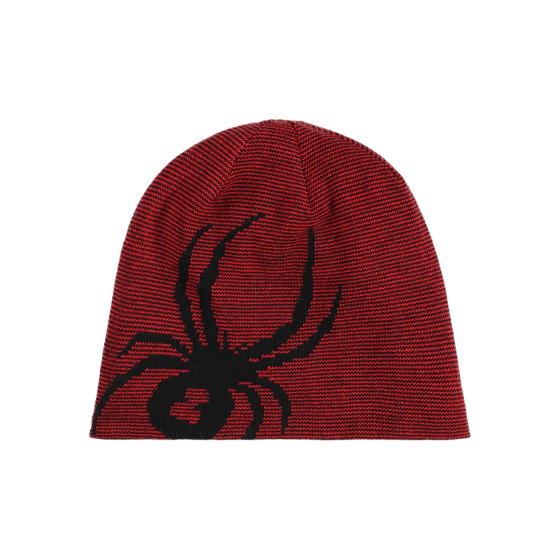 Spyder Reversible Bug - Image 2