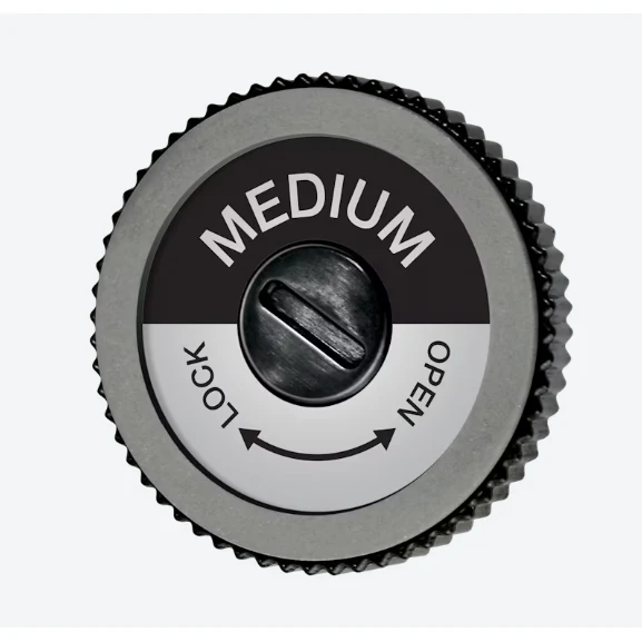 Swix Evo Pro edger Medium disc